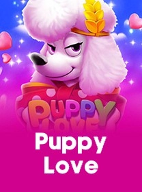 Puppy Love aaq